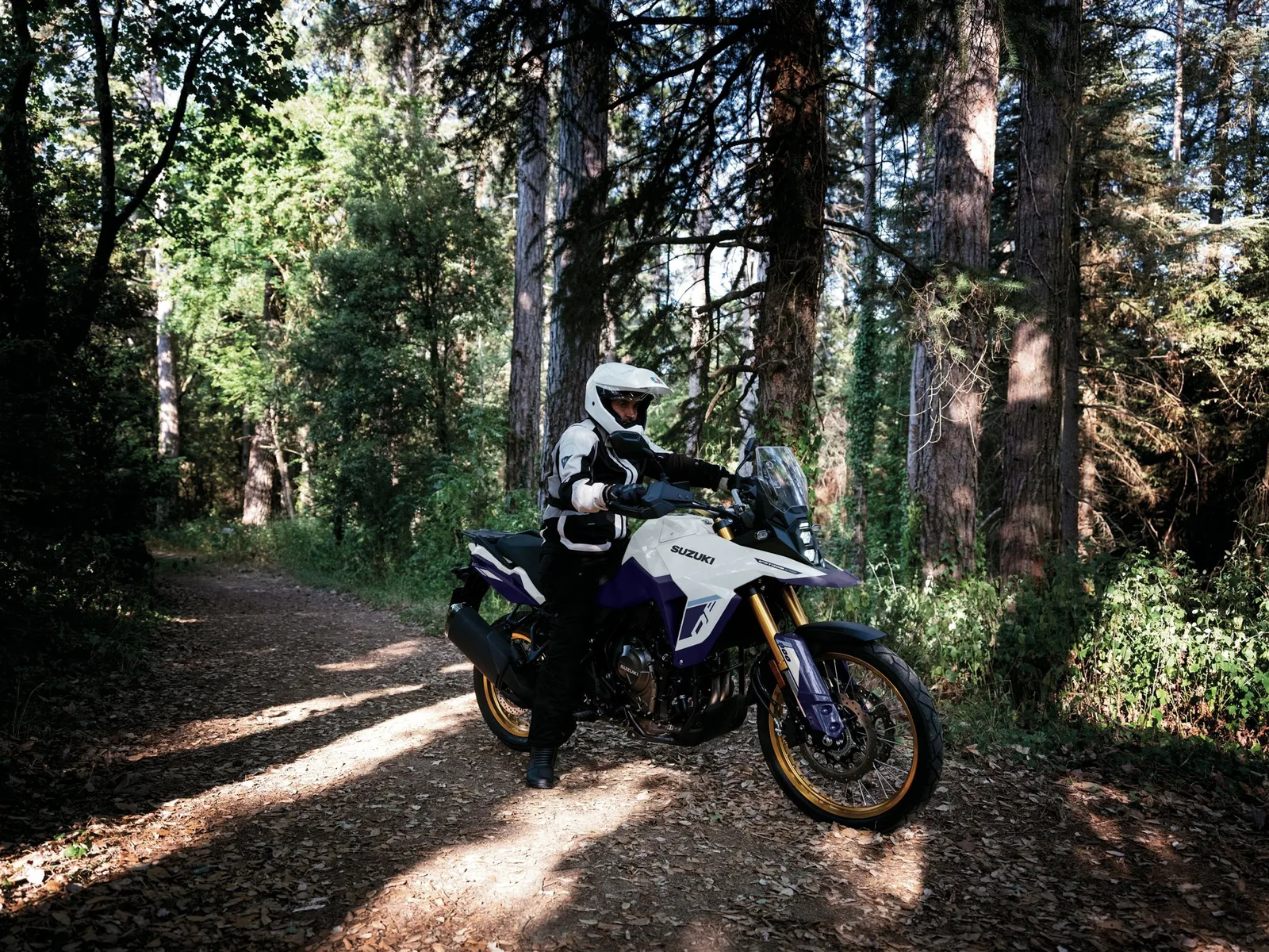 Suzuki V-Strom 800DE DL800 DE
