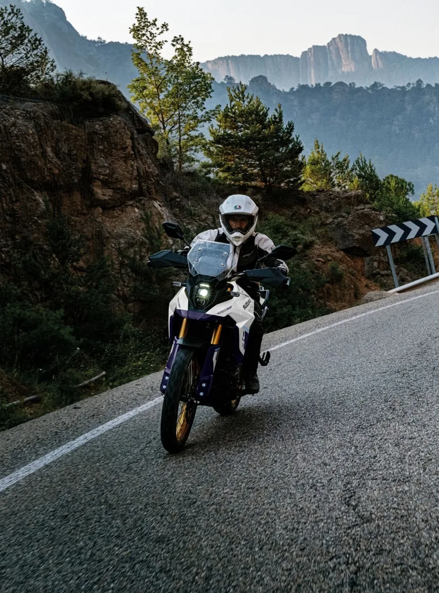 Suzuki V-Strom 800DE DL800 DE