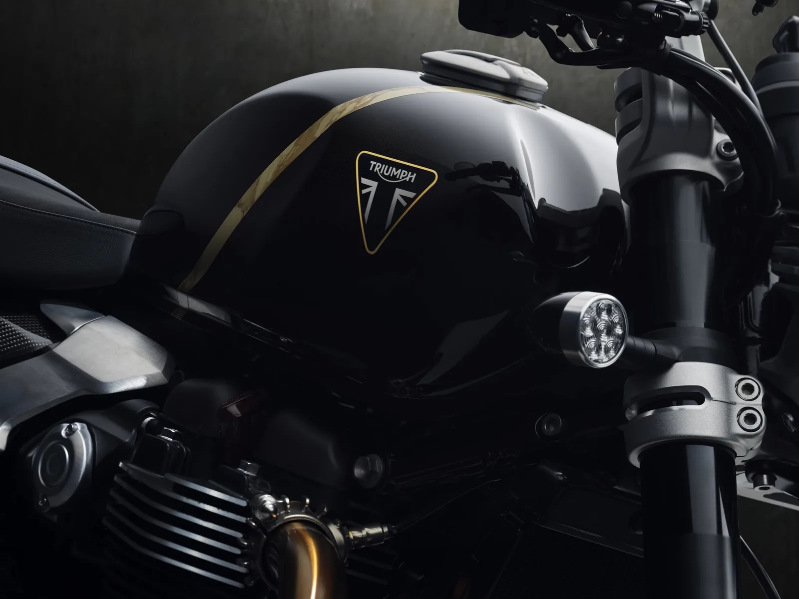 Triumph Speed Twin 1200 TFC VORBESTELLUNG AB SOFORT MÖGLICH!
