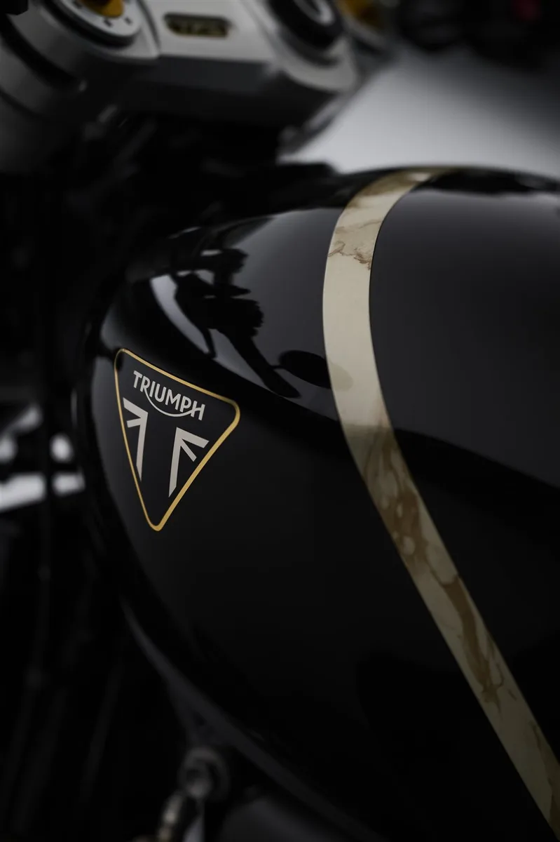 Triumph Speed Twin 1200 TFC VORBESTELLUNG AB SOFORT MÖGLICH!