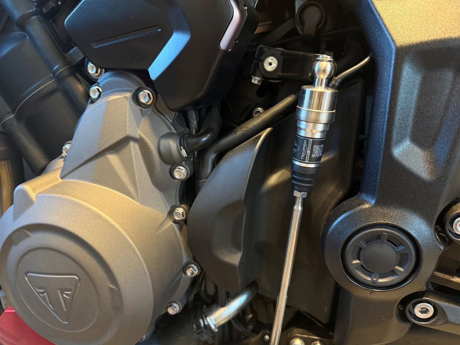 Triumph Trident 800 SOFORT VERFÜGBAR!