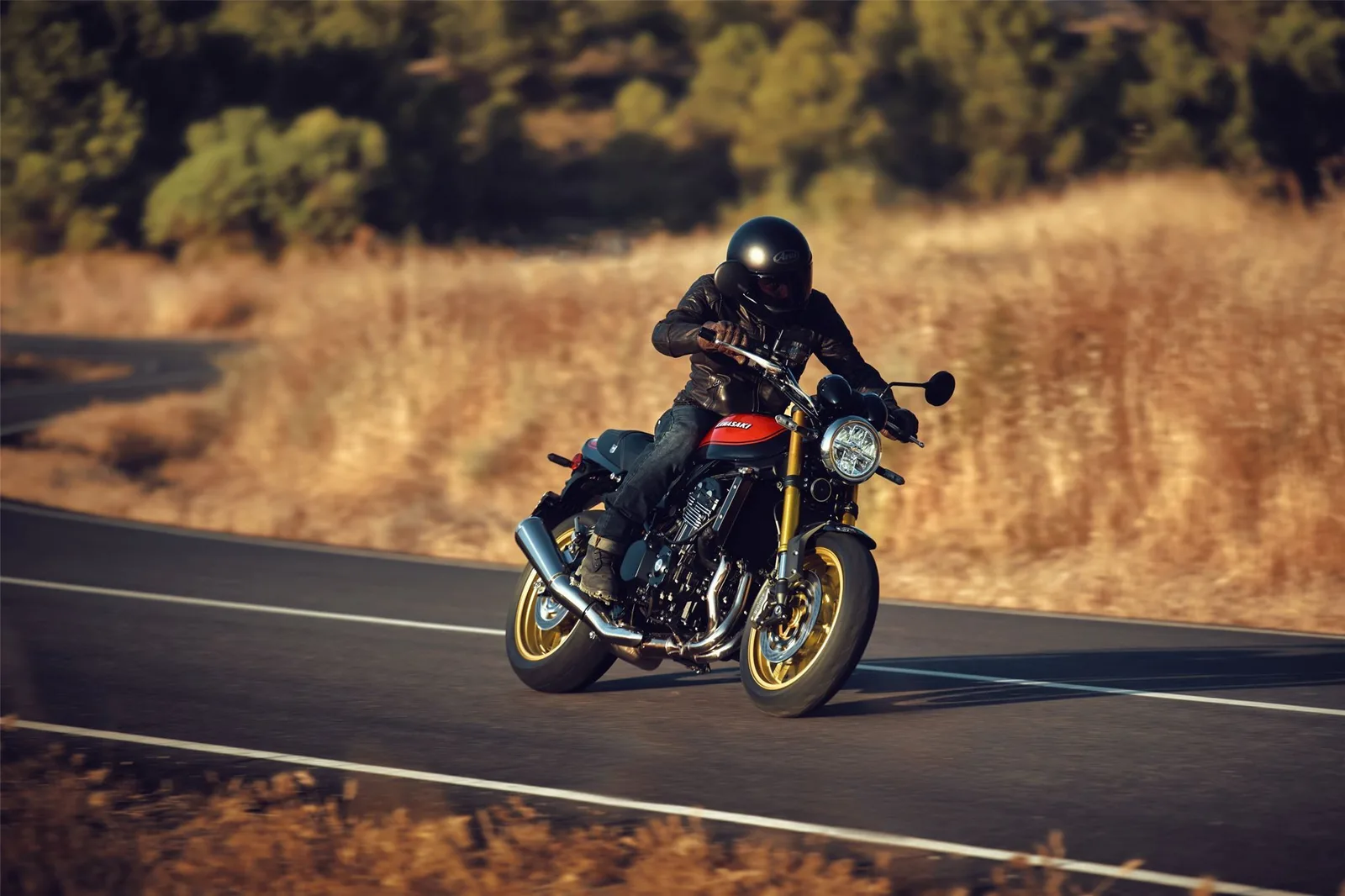 Kawasaki Z900 RS SE