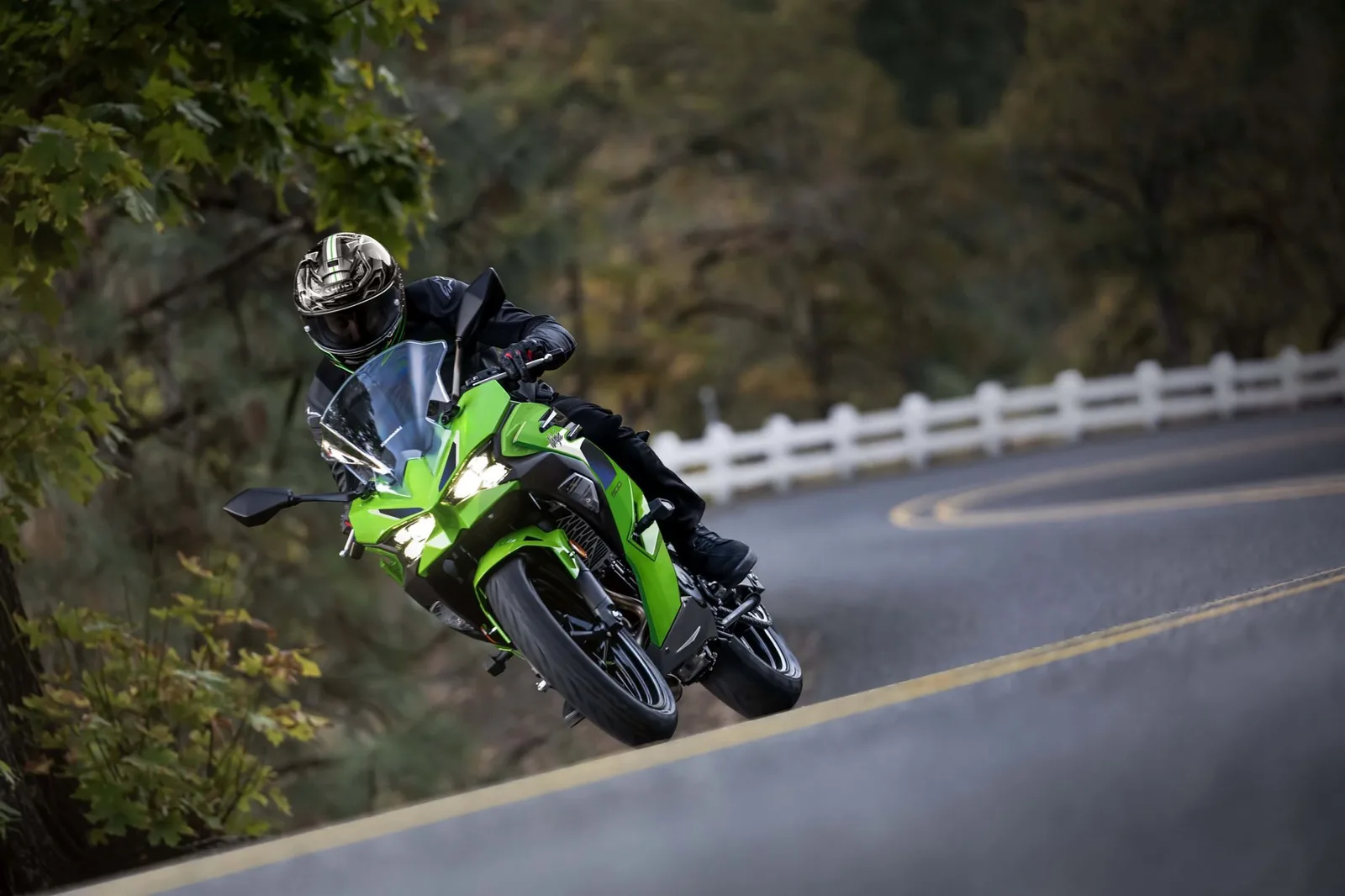 Kawasaki Ninja 500 SE