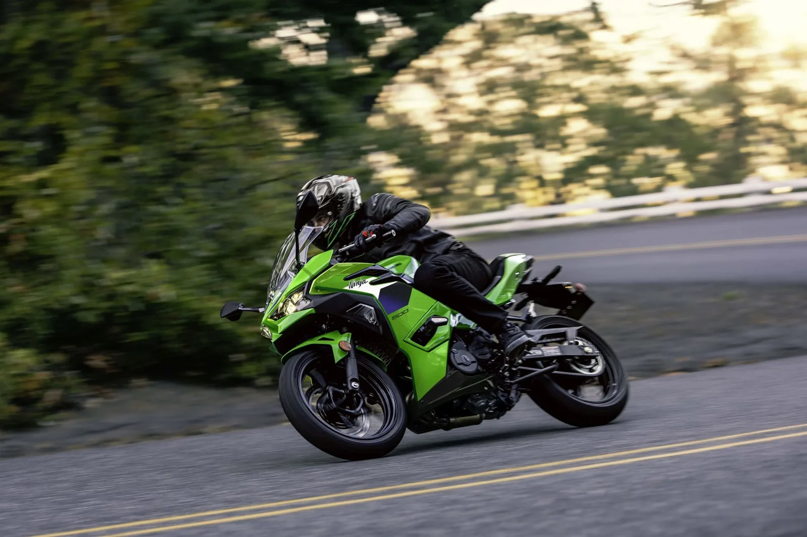 Kawasaki Ninja 500 SE