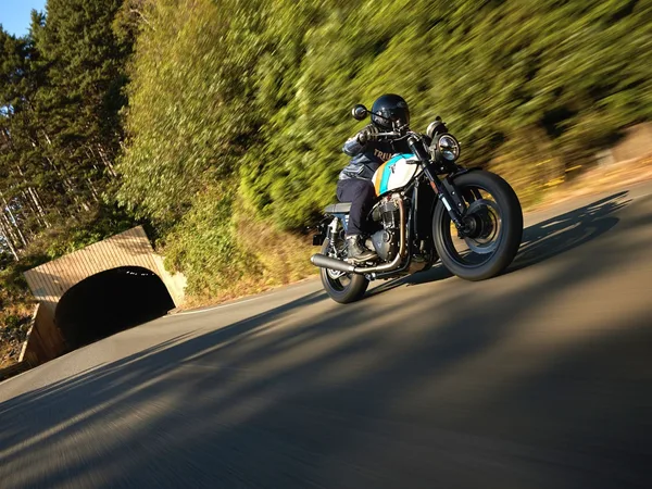Triumph Speed Twin 900 HAUSPREIS