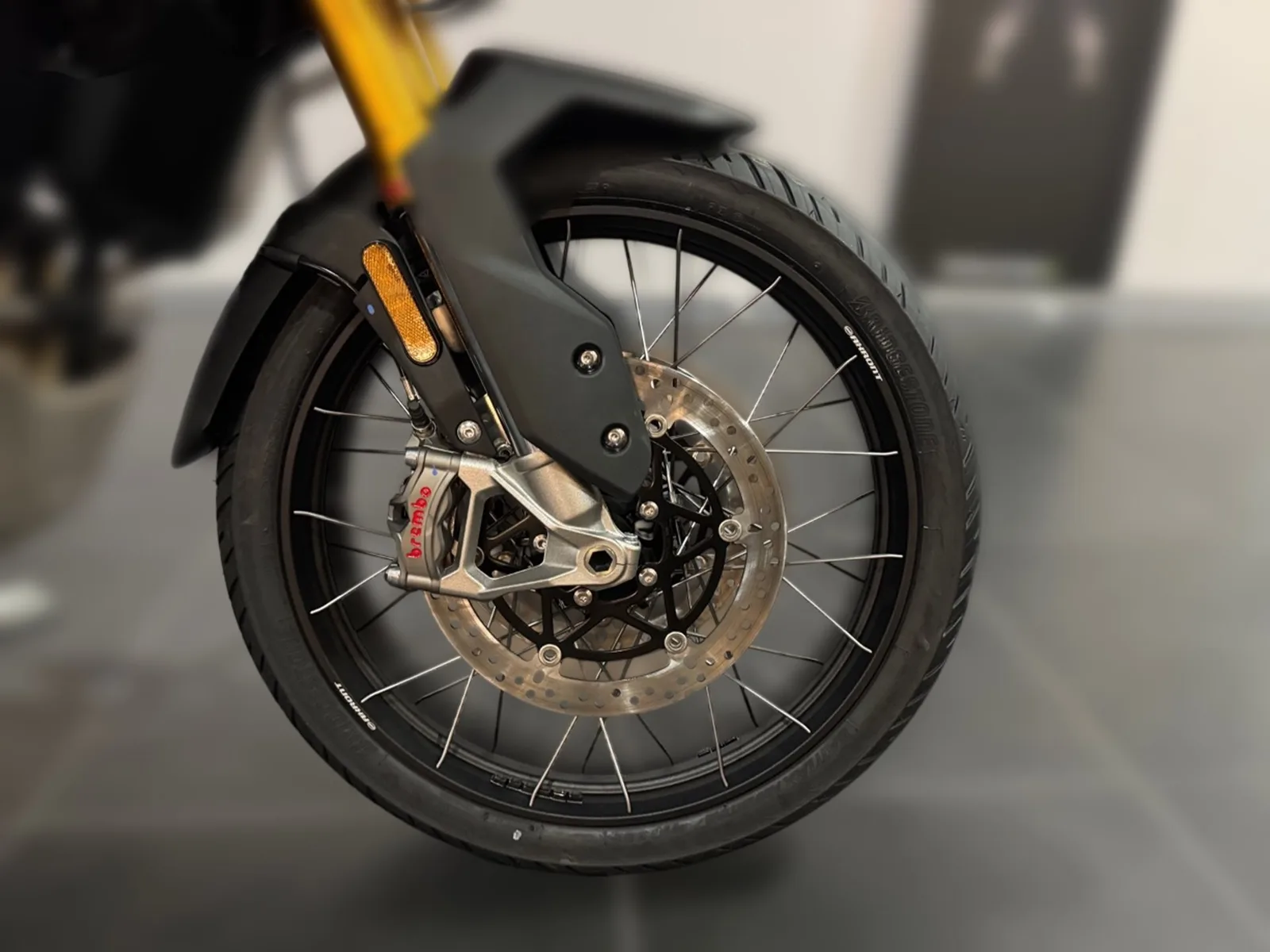 Triumph Tiger 900 Desert Edition CF8 MY26