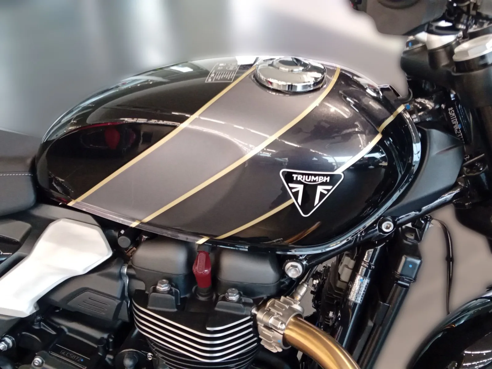 Triumph Speed Twin 900