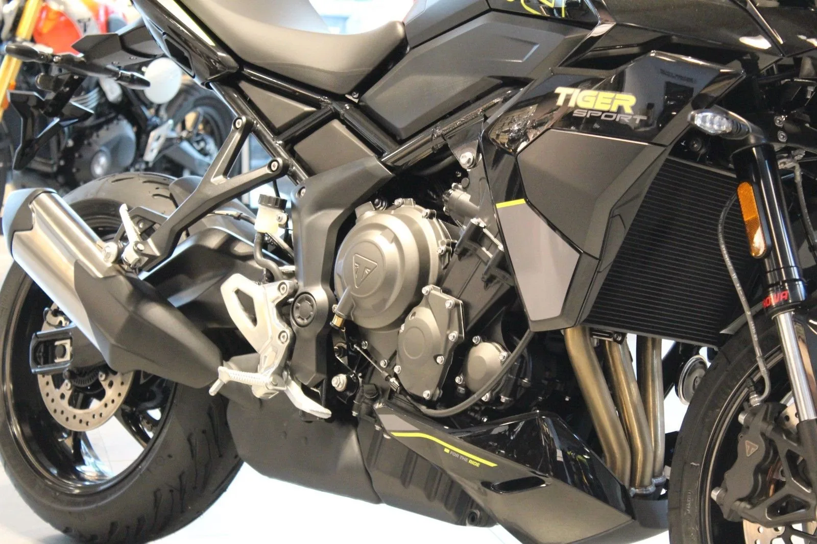 Triumph Tiger Sport 800