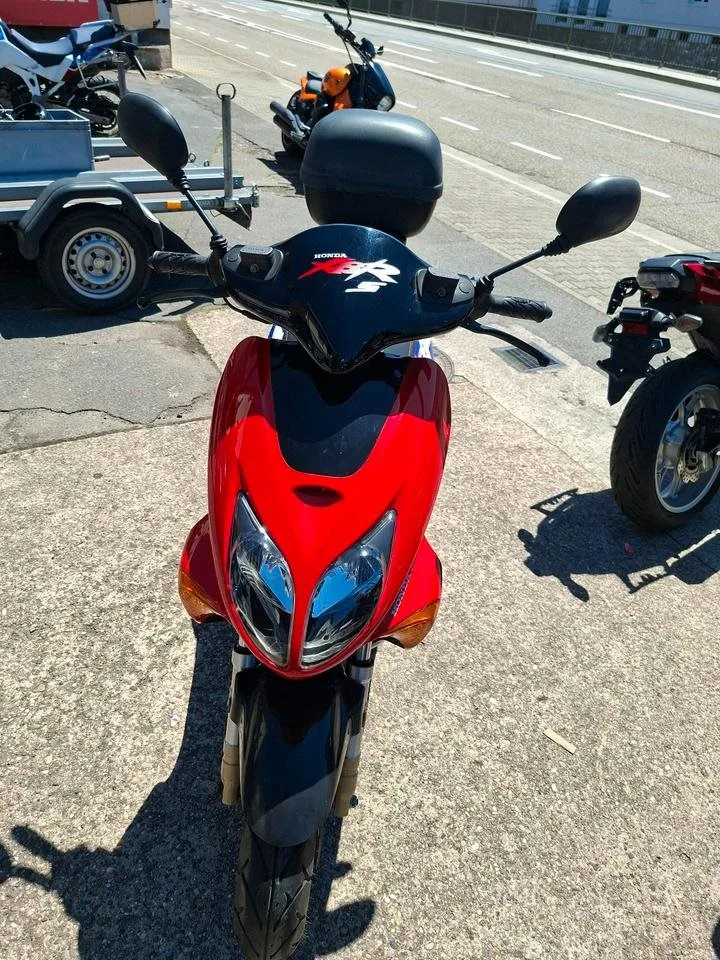 Honda X8R-S 50