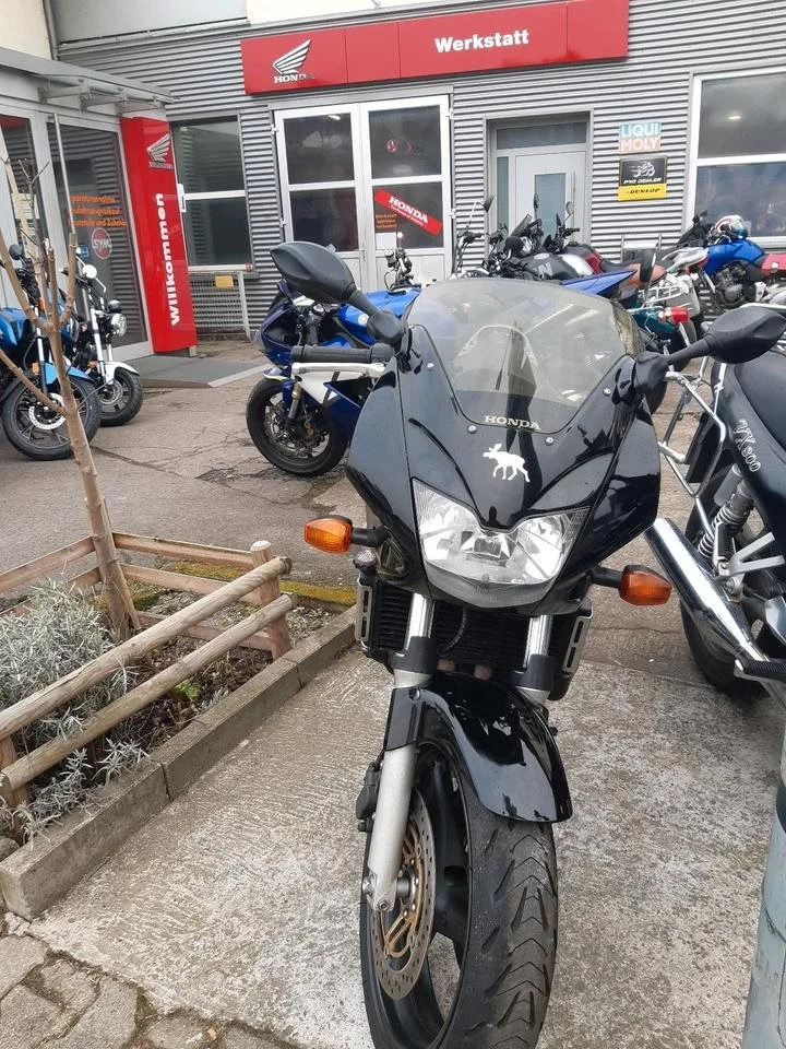 Honda CB 600 F Hornet