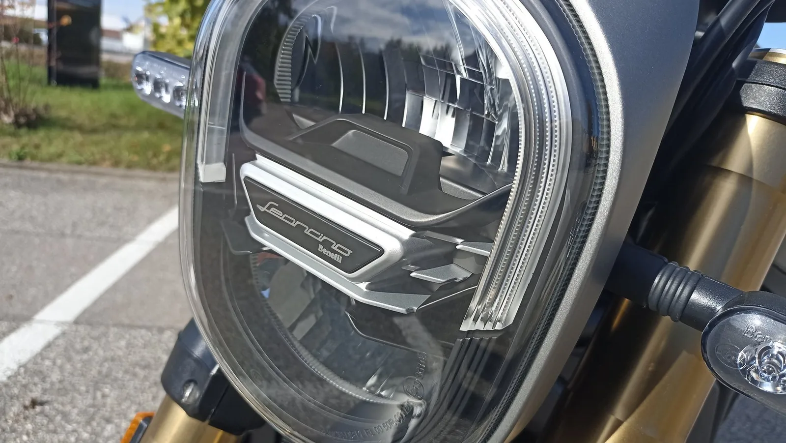Benelli Leoncino 800