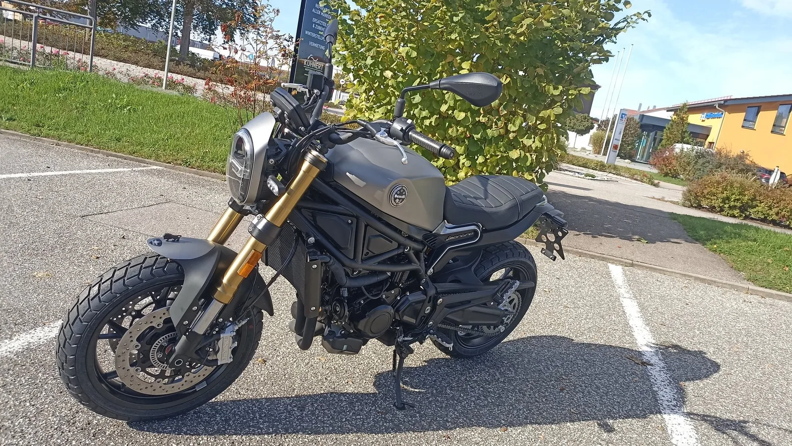 Benelli Leoncino 800