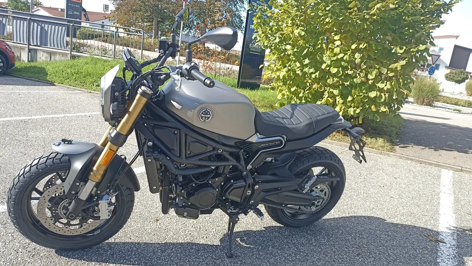 Benelli Leoncino 800