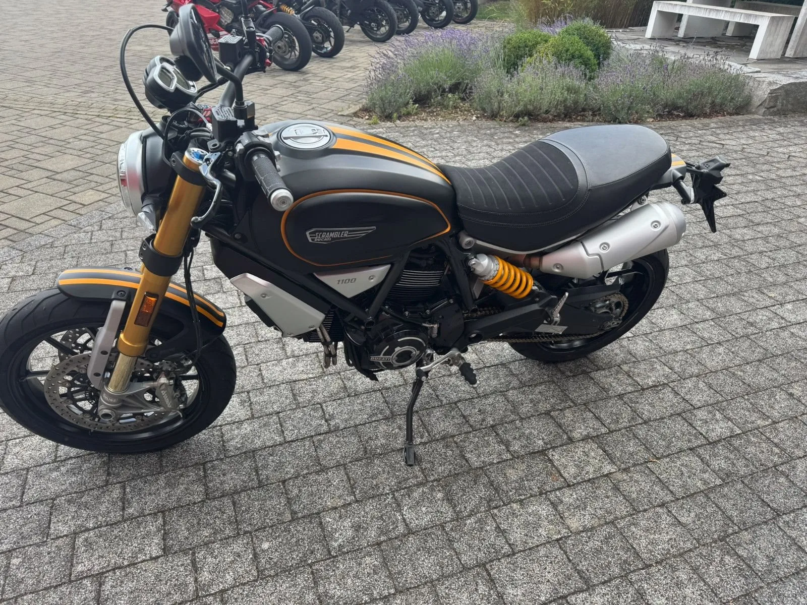 Ducati Scrambler 1100 Sport