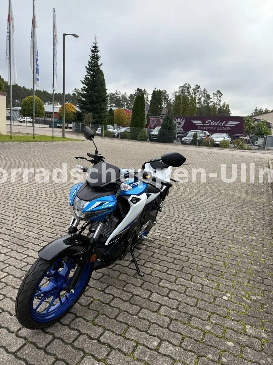 Suzuki GSX-S125 GSXS