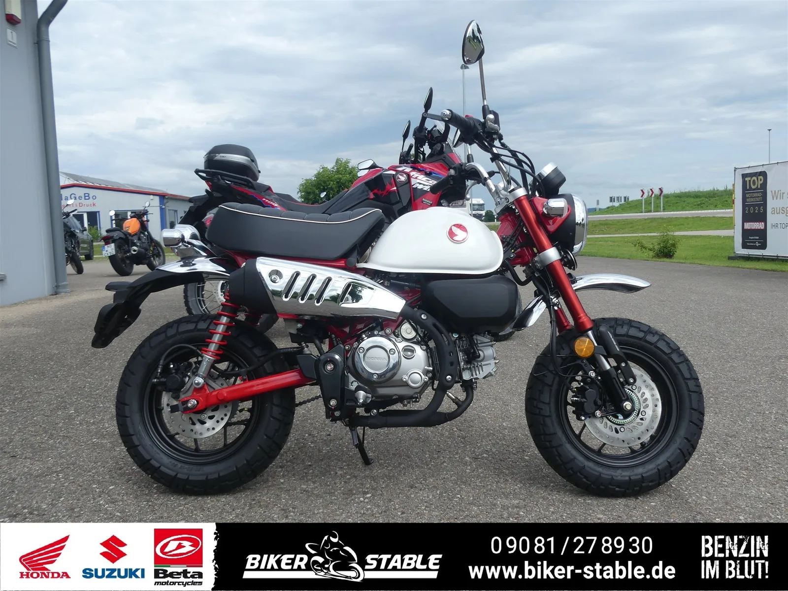 Honda Monkey 125 !Sofort erhältlich!
