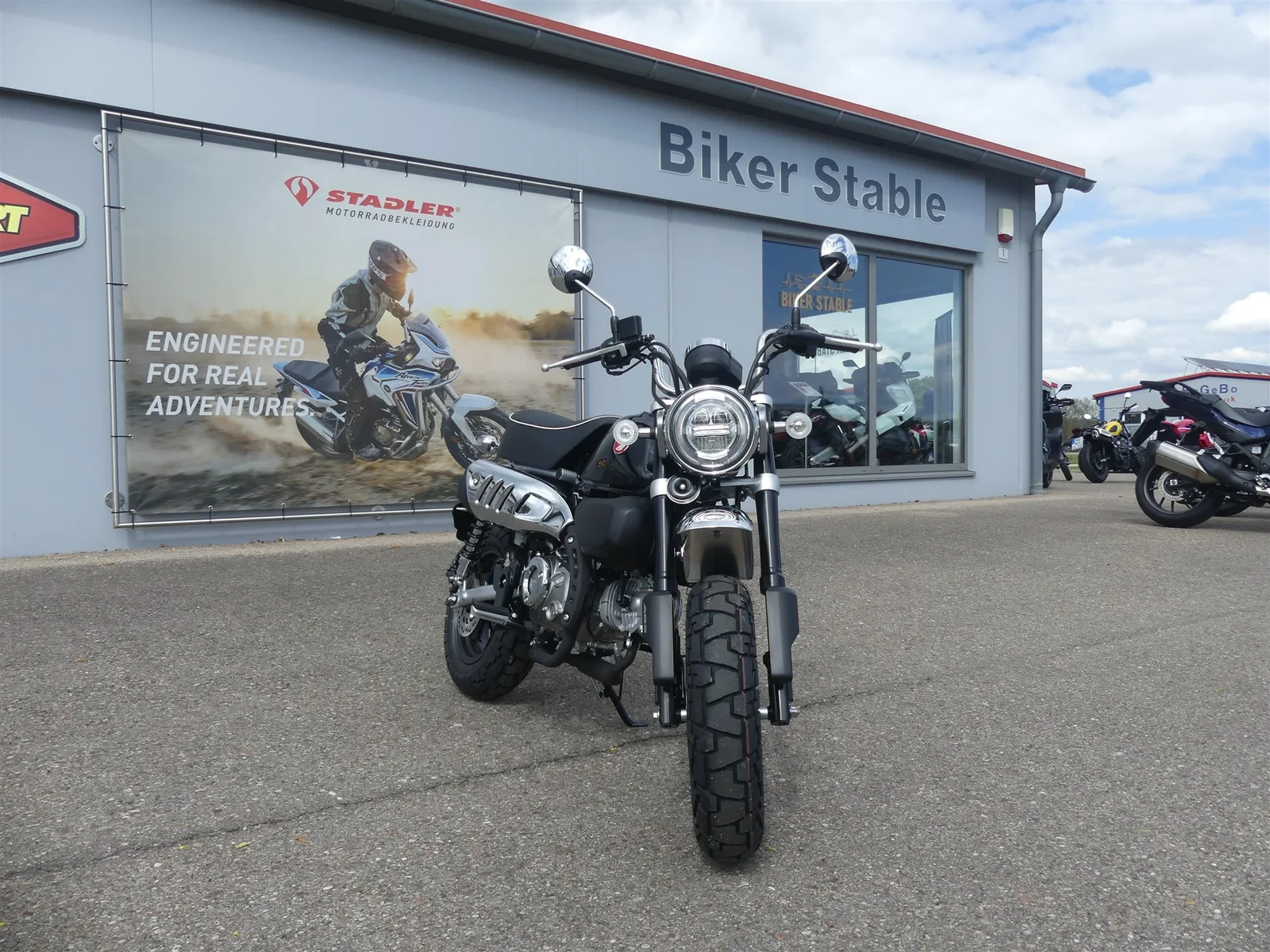 Honda Monkey 125 !Sofort erhältlich!