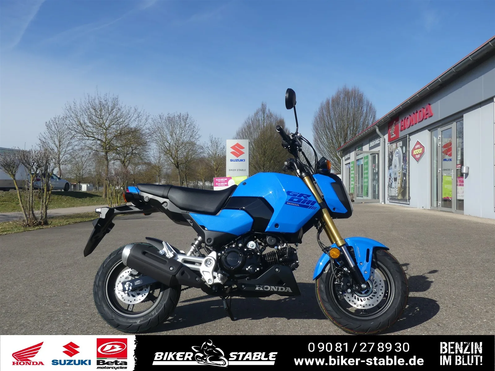 Honda MSX125 Grom Jetzt Probefahren