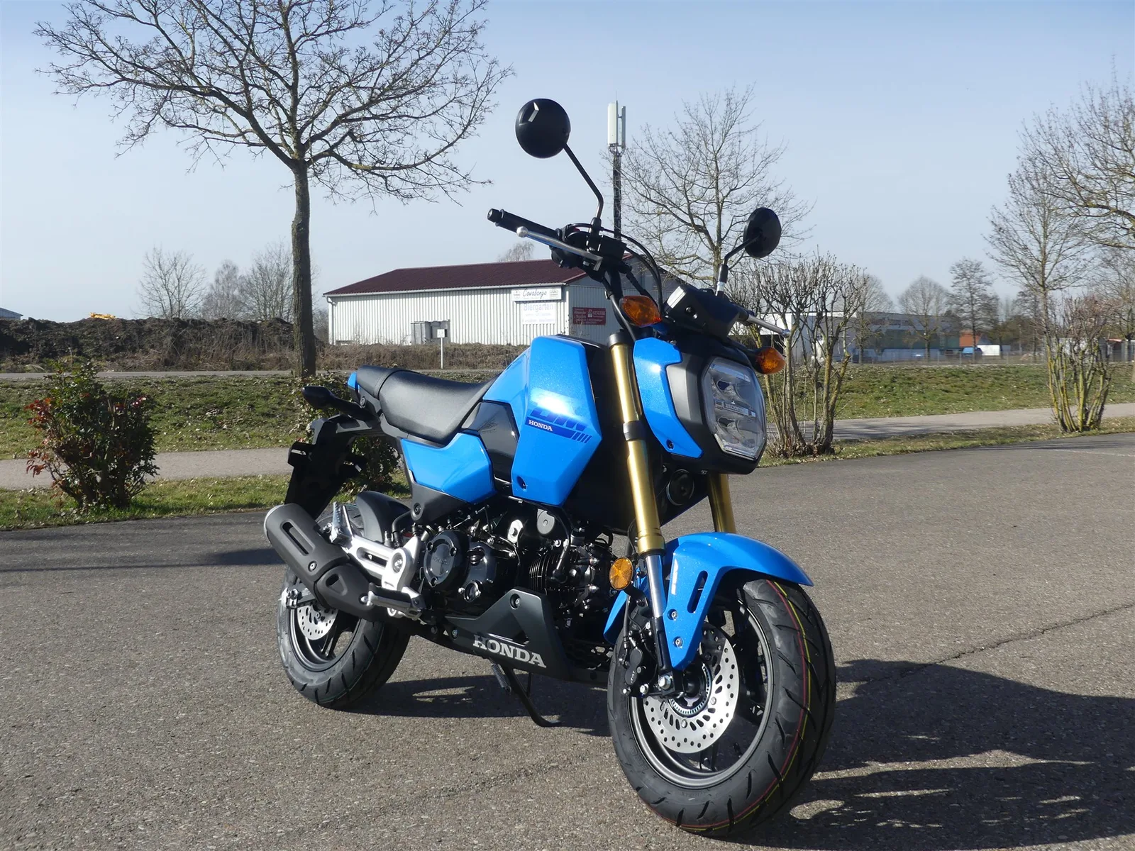 Honda MSX125 Grom Jetzt Probefahren