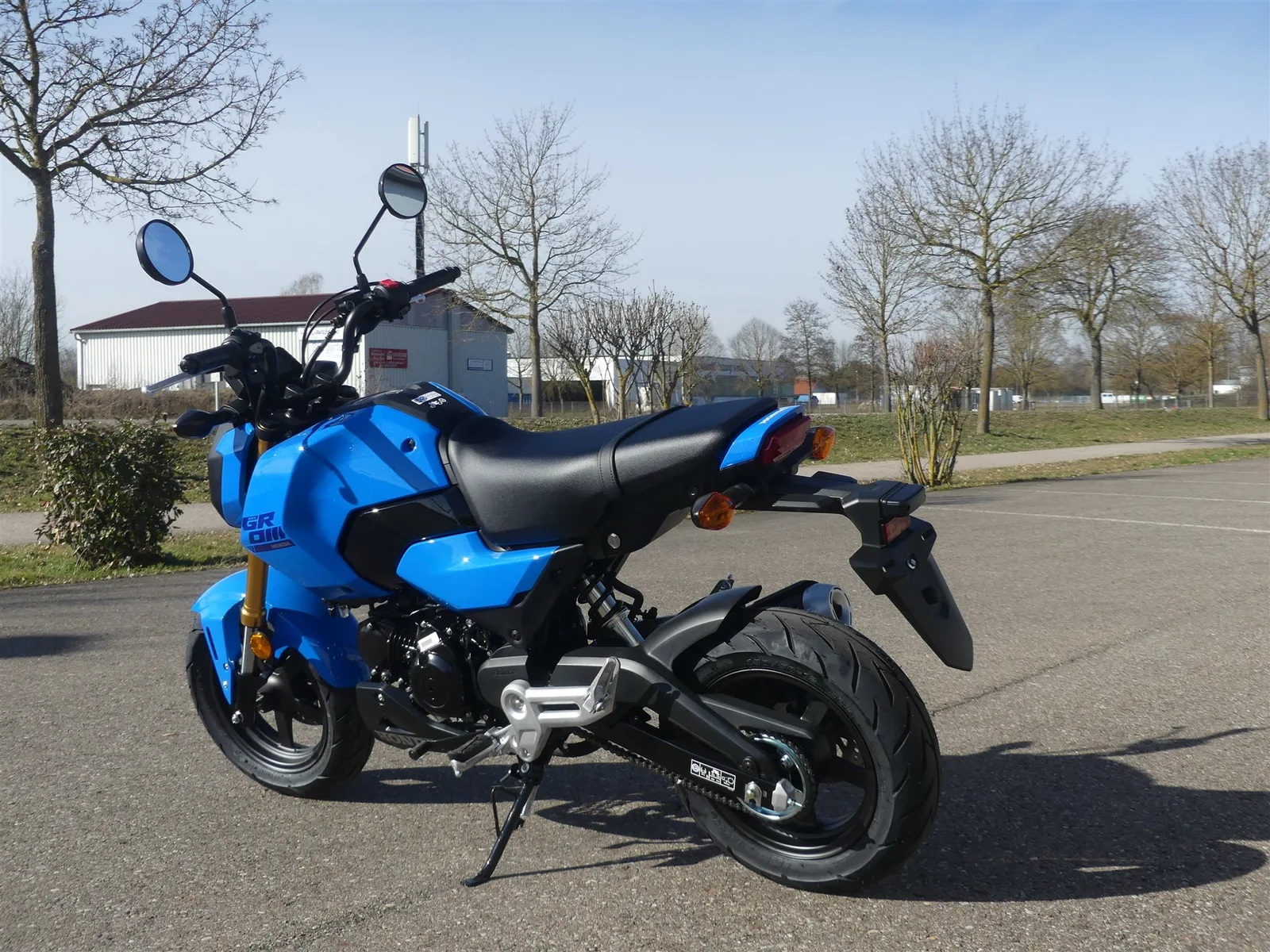 Honda MSX125 Grom Jetzt Probefahren