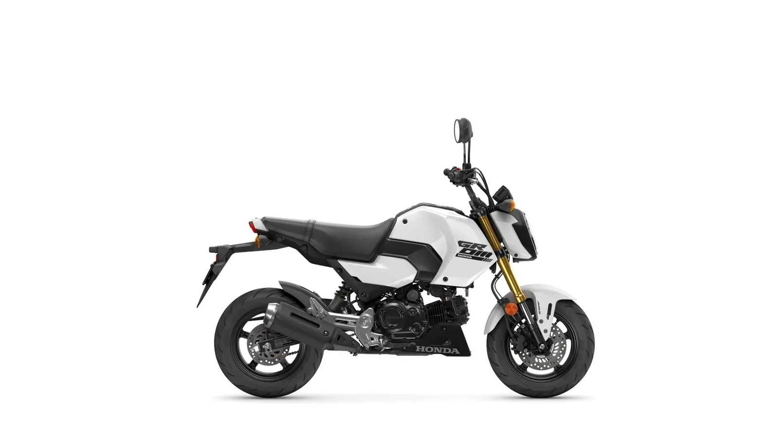 Honda MSX125 Grom Jetzt Probefahren