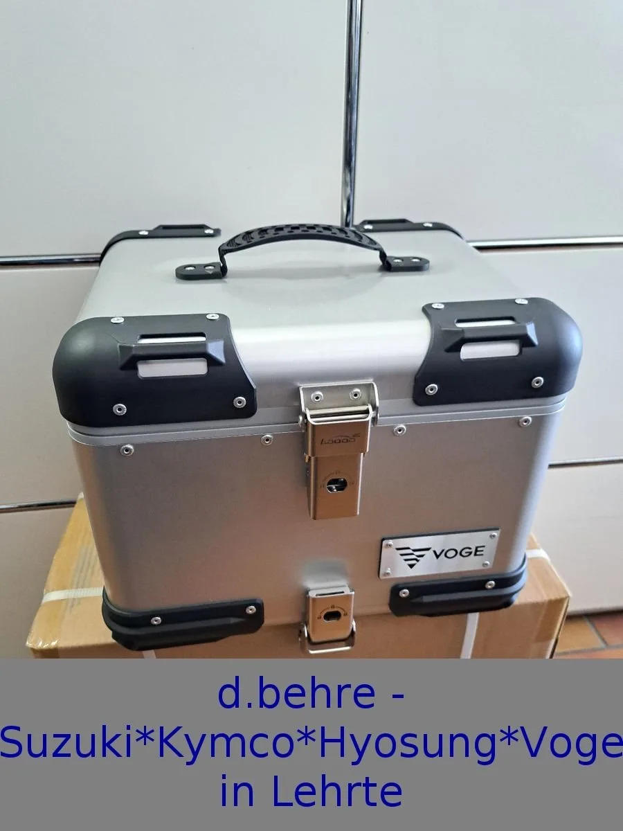 Voge DS900X