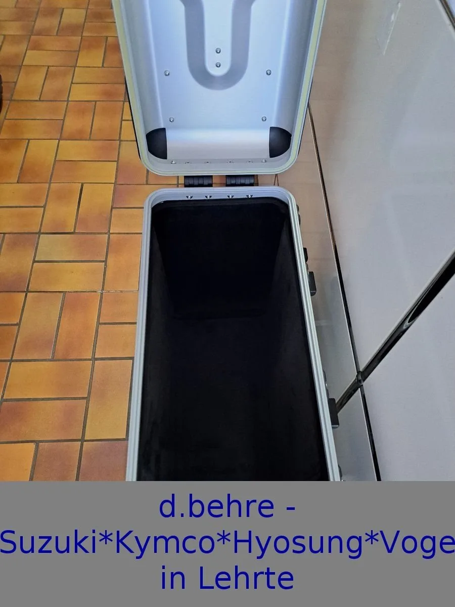 Voge DS900X