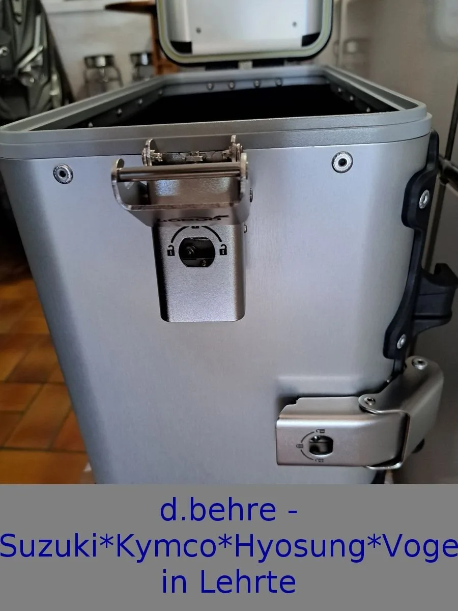 Voge DS900X