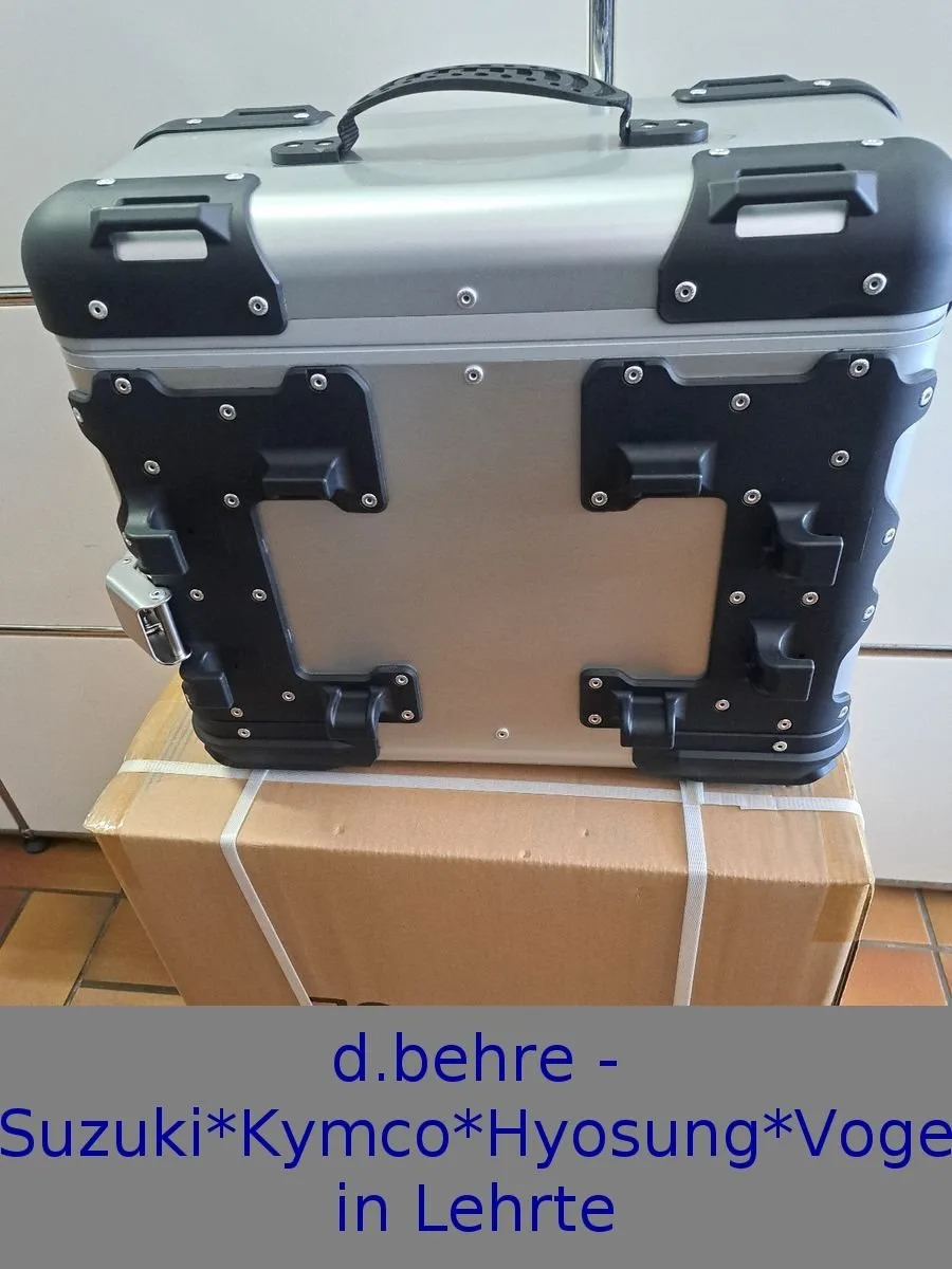 Voge DS900X