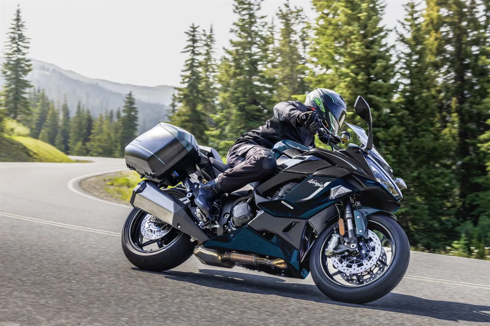 Kawasaki Ninja 1100SX SE