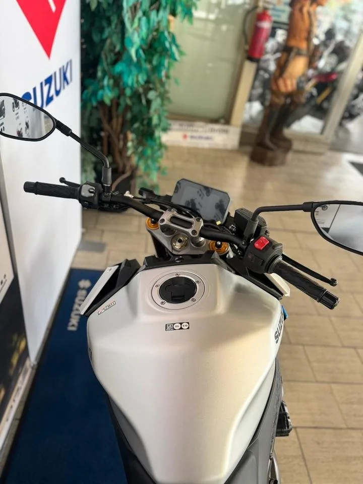 Suzuki GSX-S1000