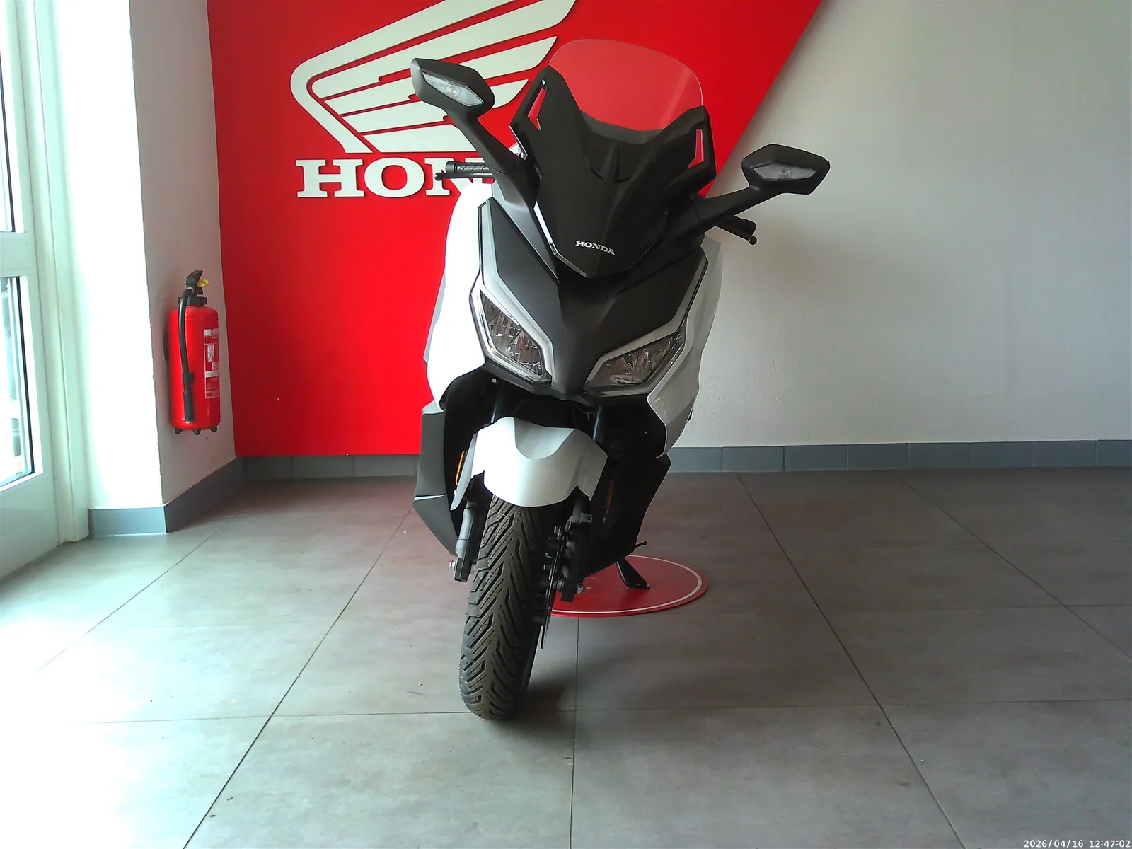 Honda Forza 350 Vorführfahrzeug