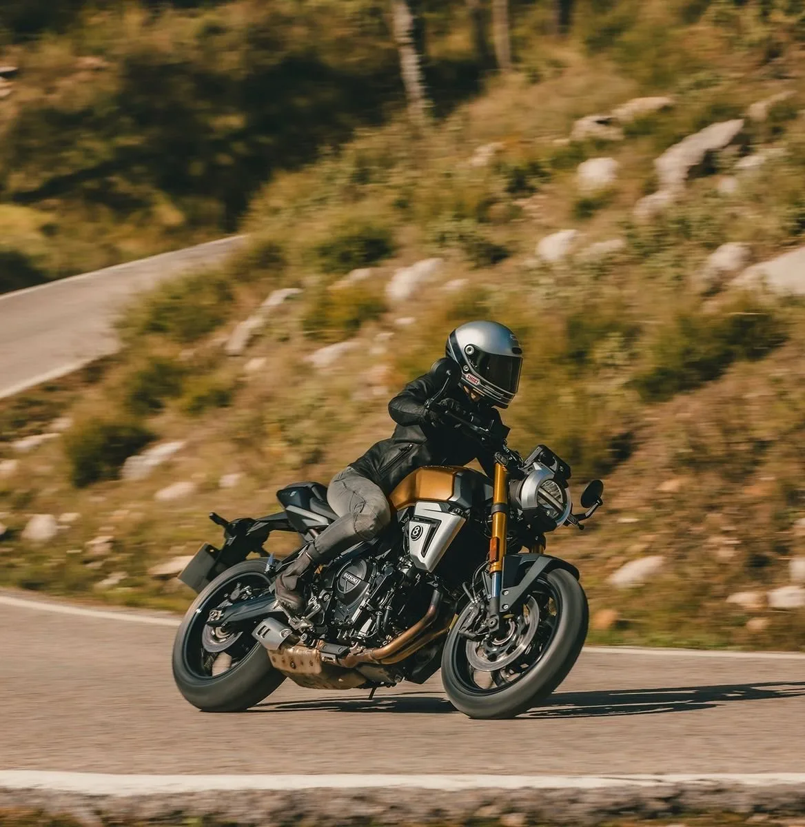 Suzuki GSX-8T