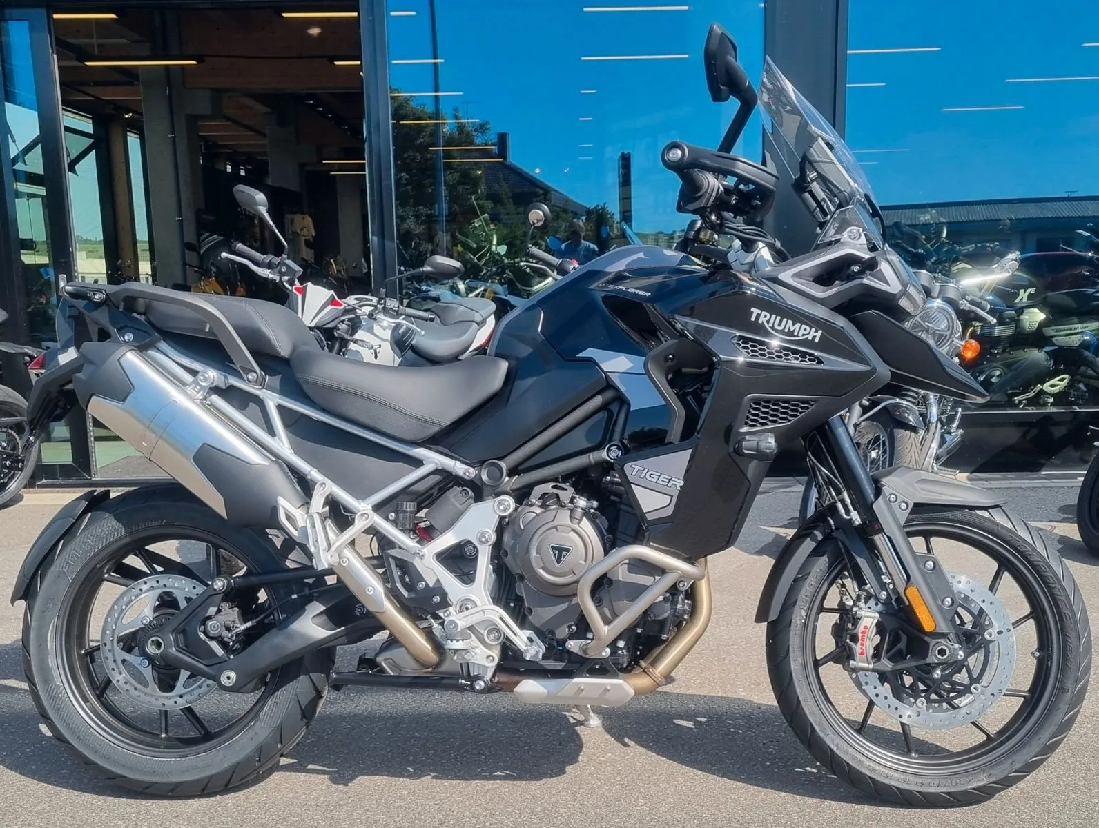 Triumph Tiger 1200 GT Explorer