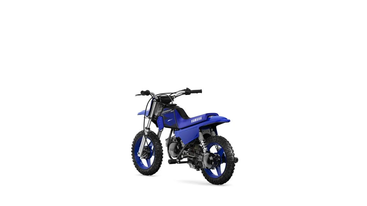Yamaha PW50