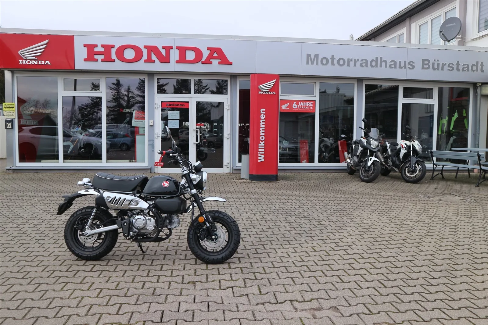 Honda Monkey 125 Honda Monkey Tageszulassung 11.2025 mit bis zu 6 Jahren Garantie
