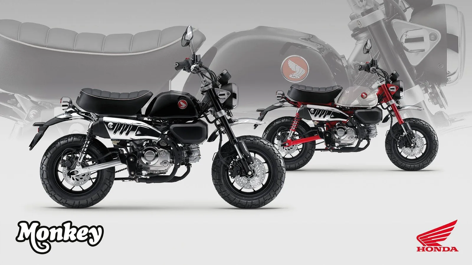 Honda Monkey 125 Honda Monkey Tageszulassung 11.2025 mit bis zu 6 Jahren Garantie