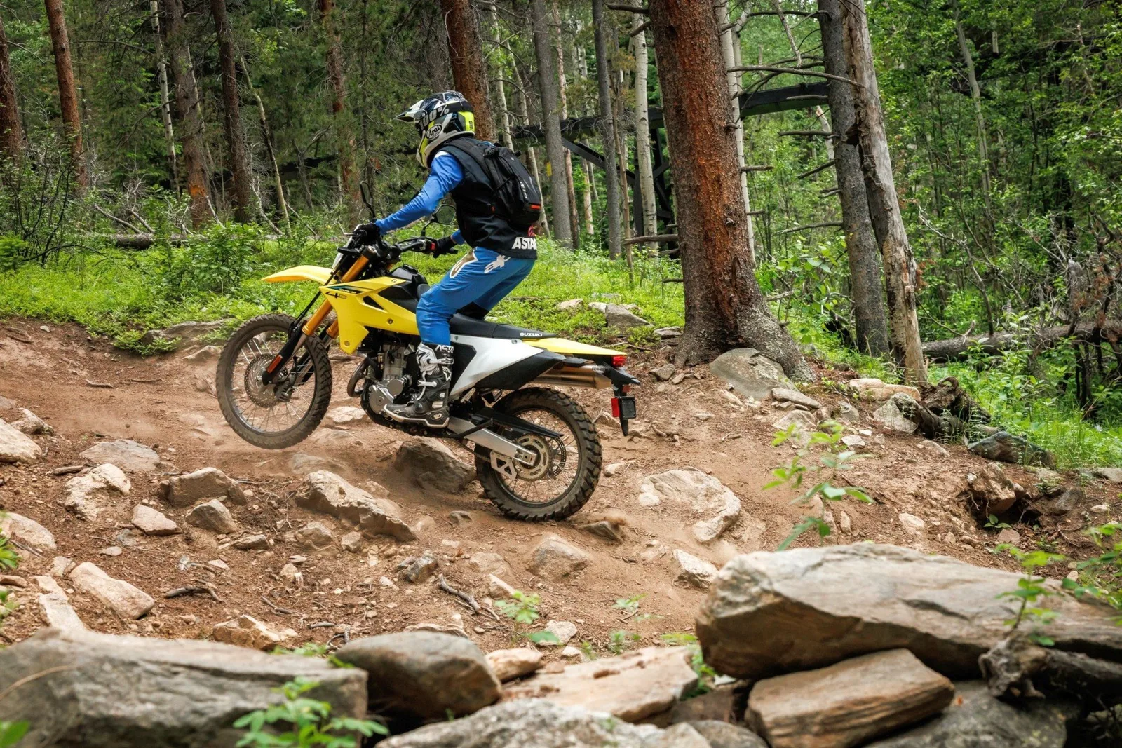 Suzuki DR-Z4S