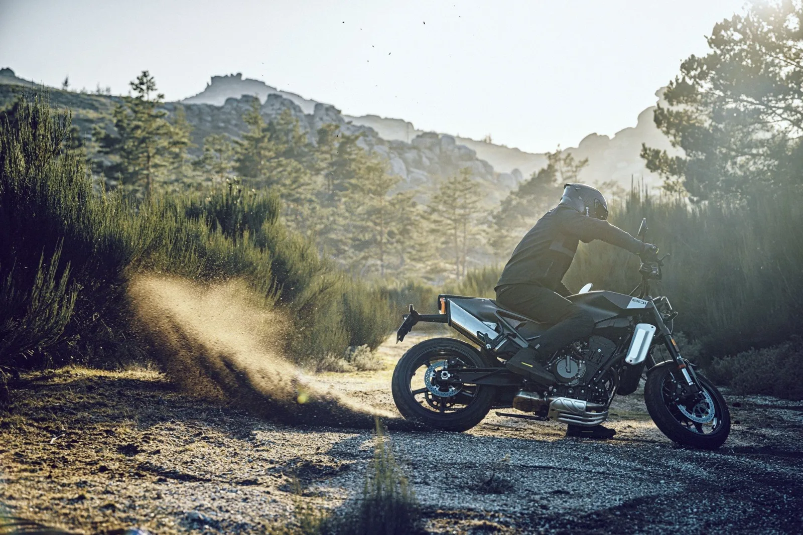 Husqvarna Svartpilen 801 2024er Demofahrzeug