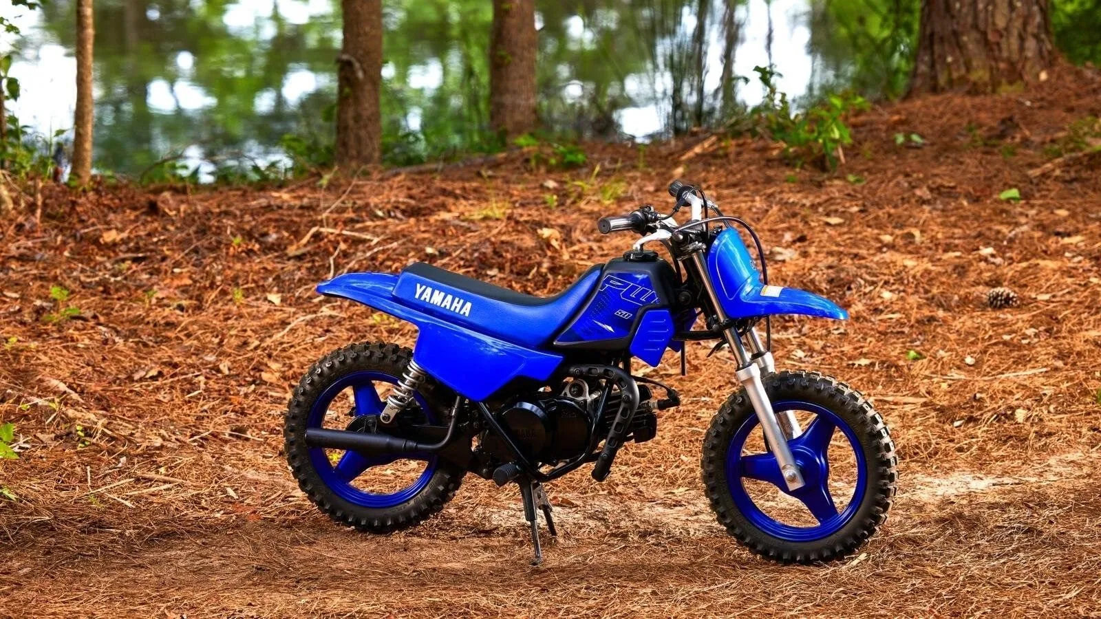 Yamaha PW50