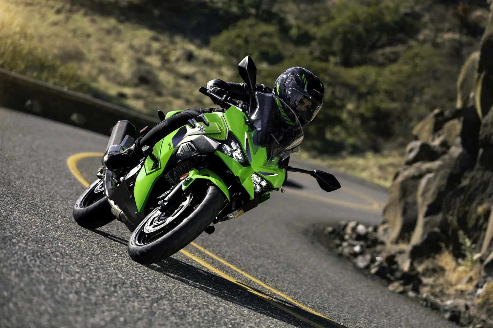 Kawasaki Ninja 500 SE