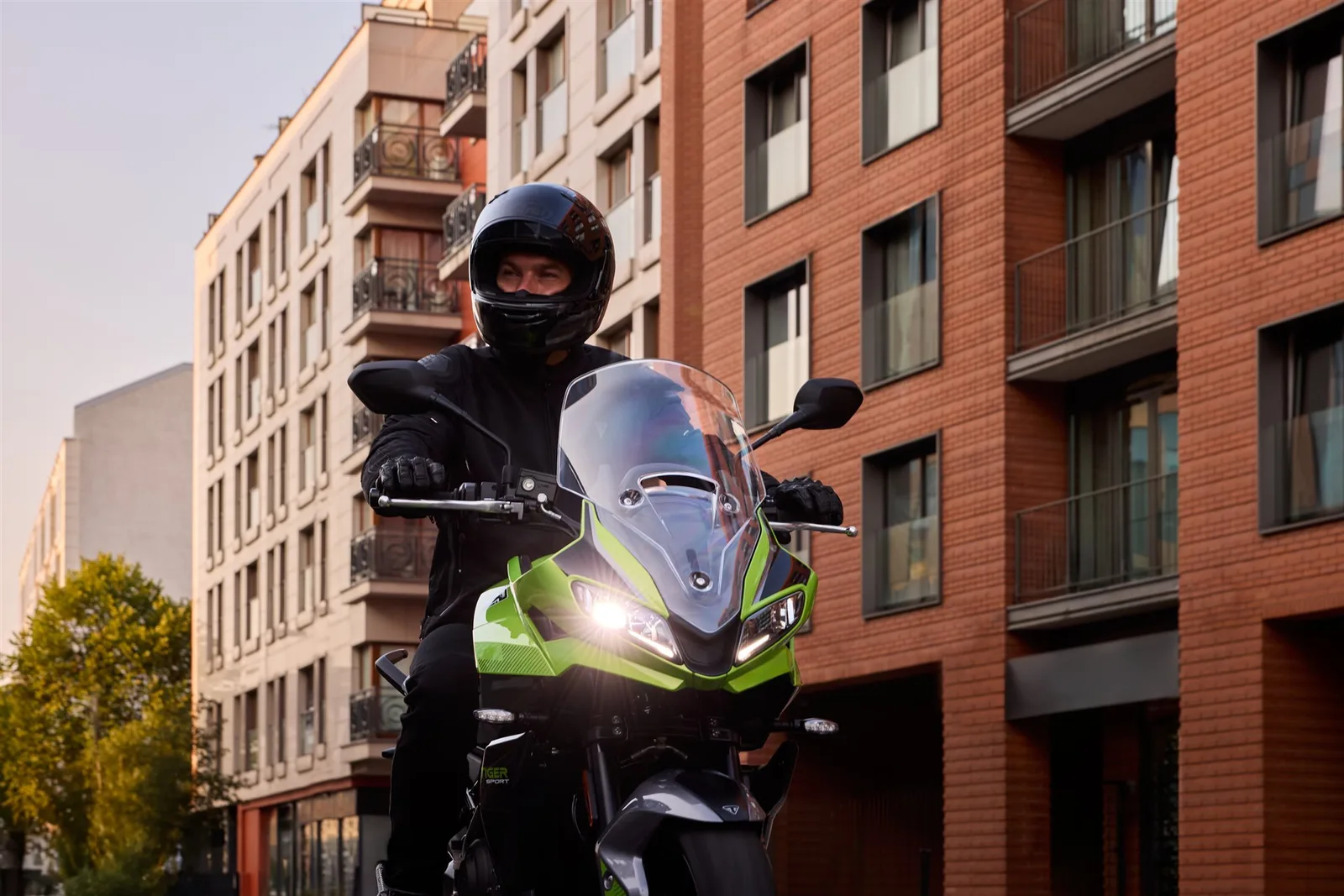 Triumph Tiger Sport 660 INKL. SEITENKOFFERSYSTEM