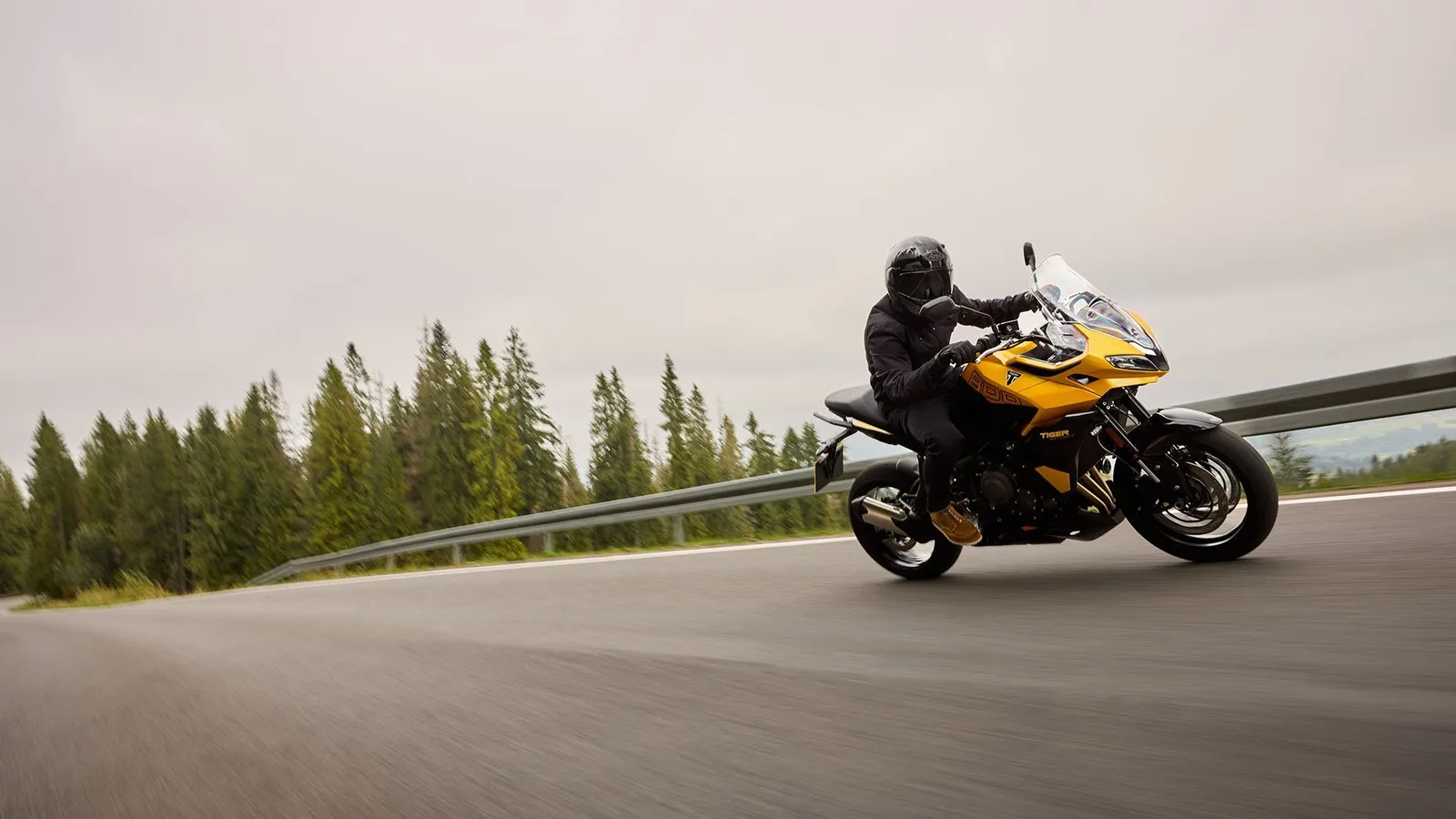 Triumph Tiger Sport 800 \*AKTION\* INKL. KOFFERSYSTEM