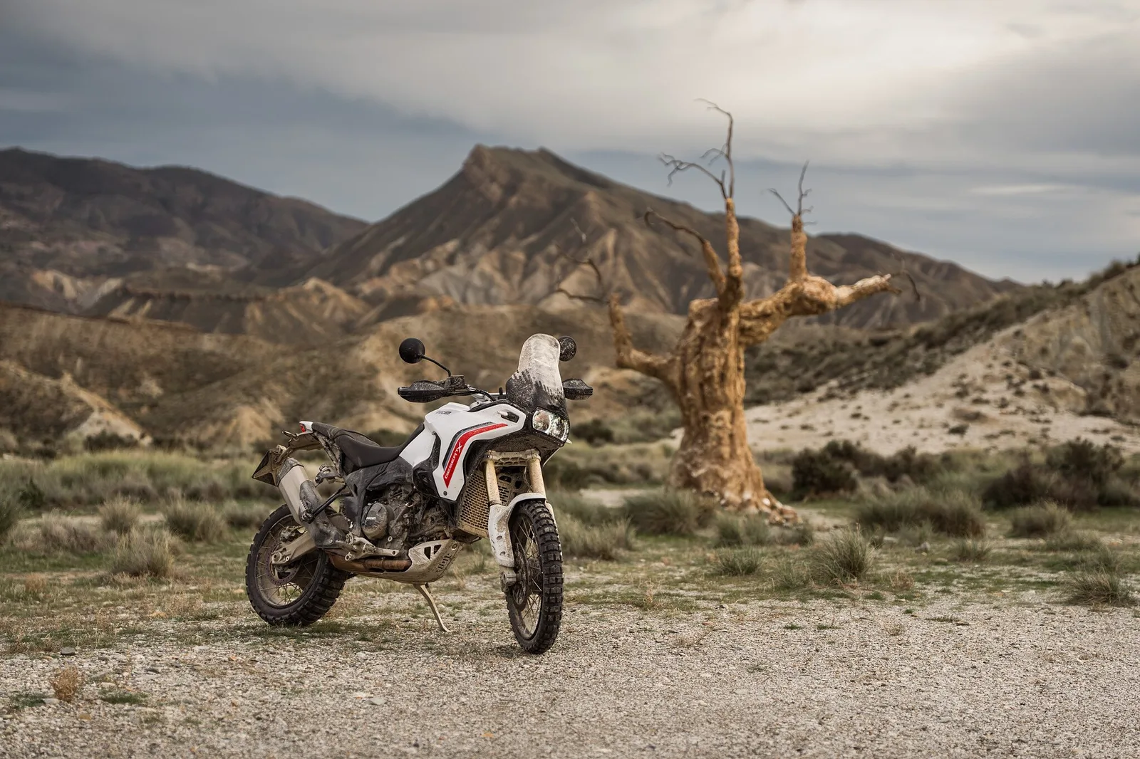 Ducati DesertX