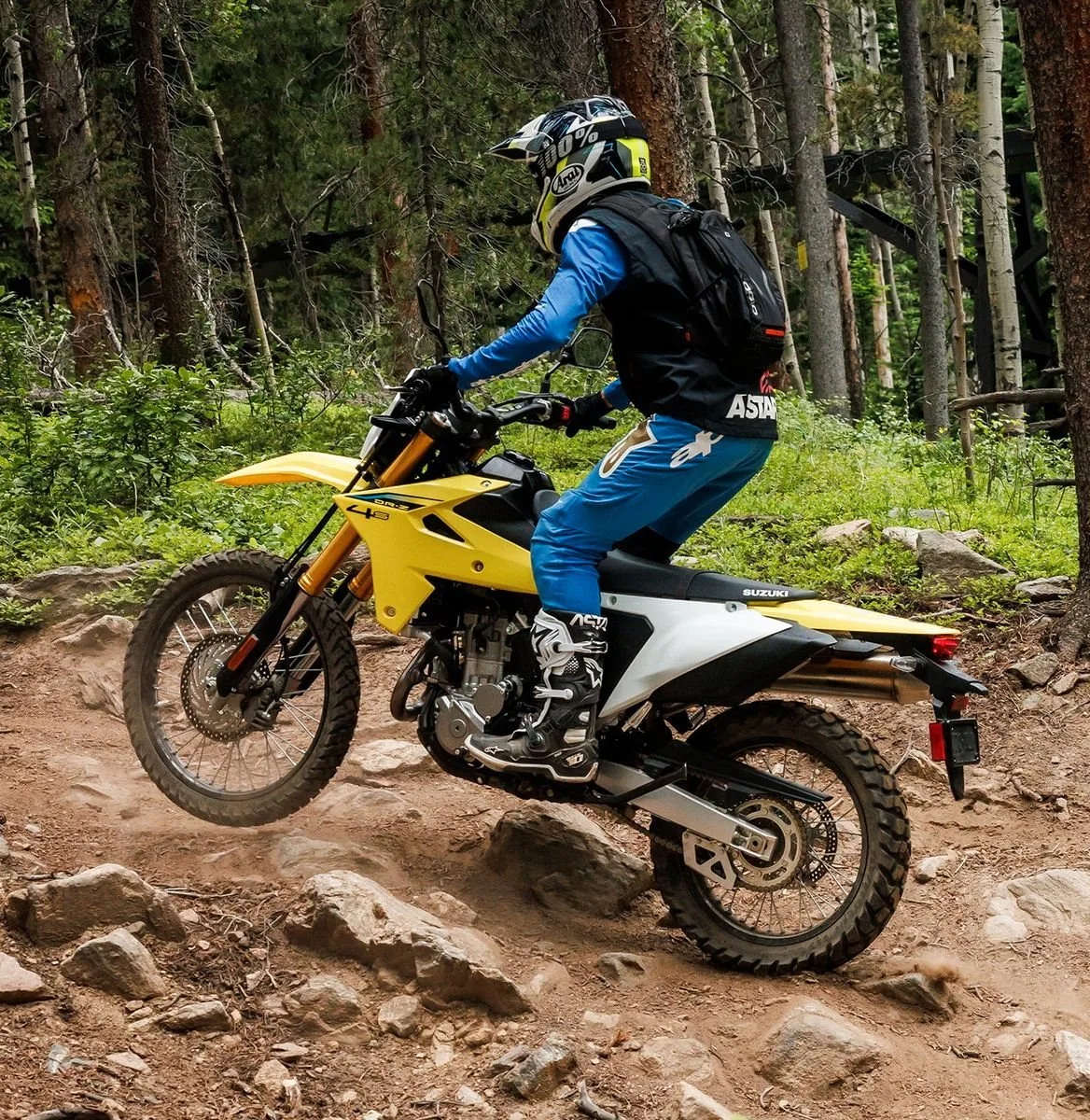 Suzuki DR-Z4S