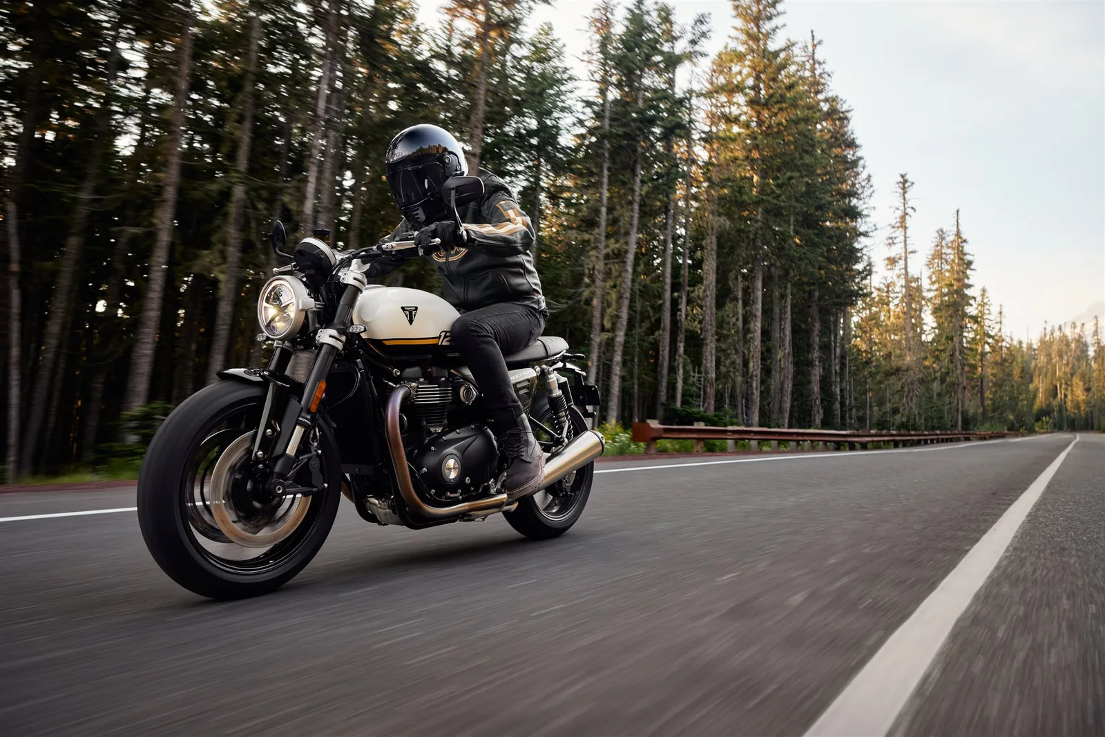 Triumph Speed Twin 1200