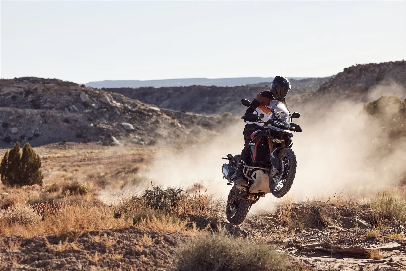 Triumph Tiger 900 Rally Pro