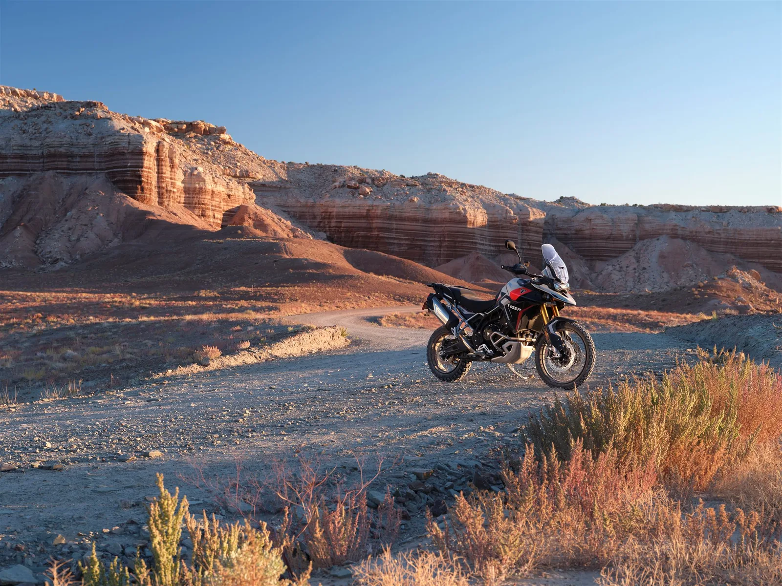 Triumph Tiger 900 Rally Pro
