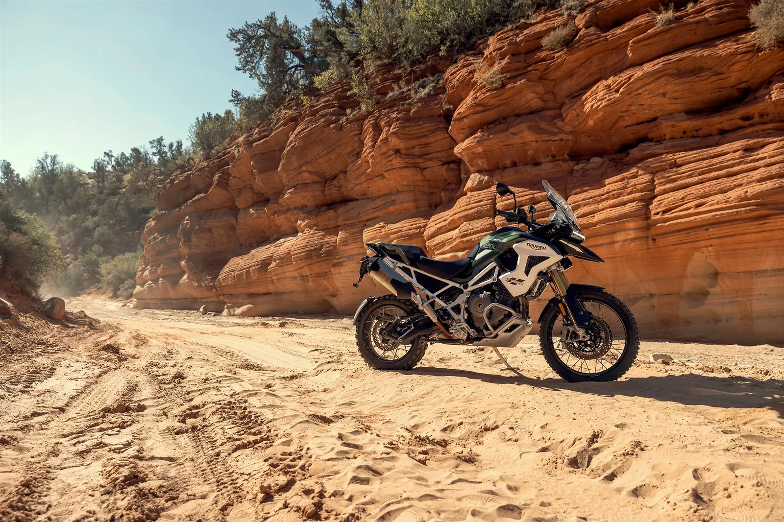 Triumph Tiger 1200 Rally PRO