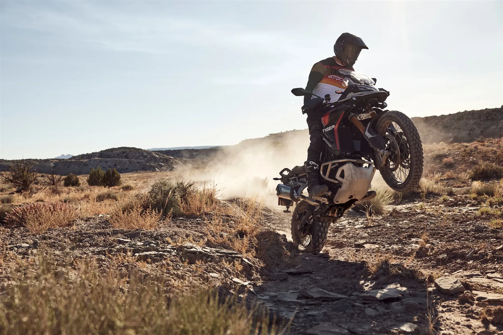 Triumph Tiger 900 Rally Pro